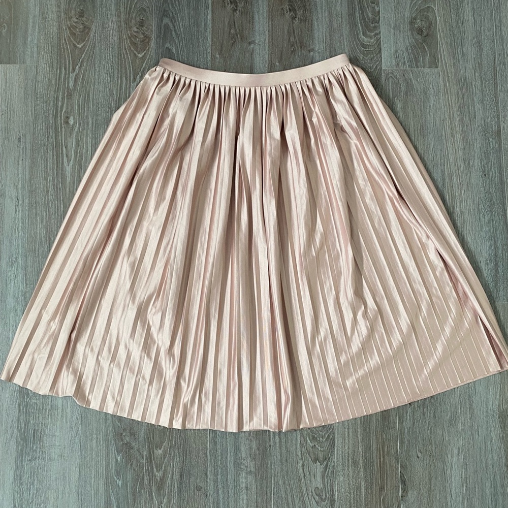 Blush Pleated Skirt